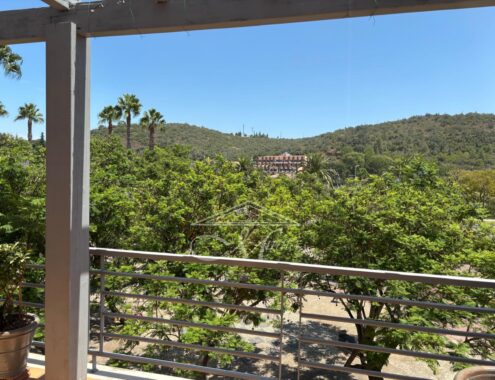 Imagem WhatsApp 2025-07-24 às 15.00.10_9a92214f