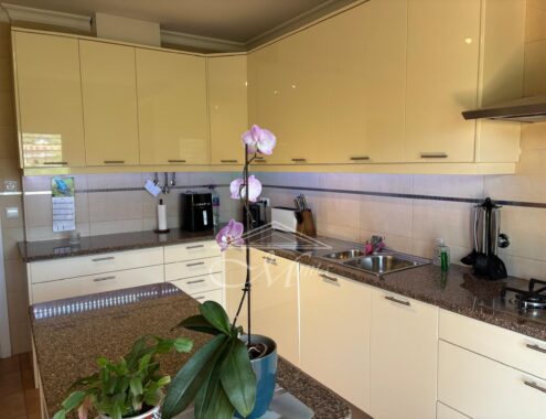 Imagem WhatsApp 2025-07-24 às 15.00.13_a50571f1