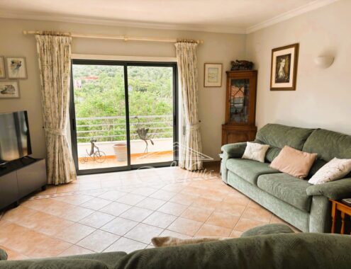 Silves (11) (1)